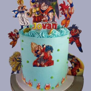 Vanilla and Chocolate cake