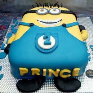 Chocolate and Vanilla cake